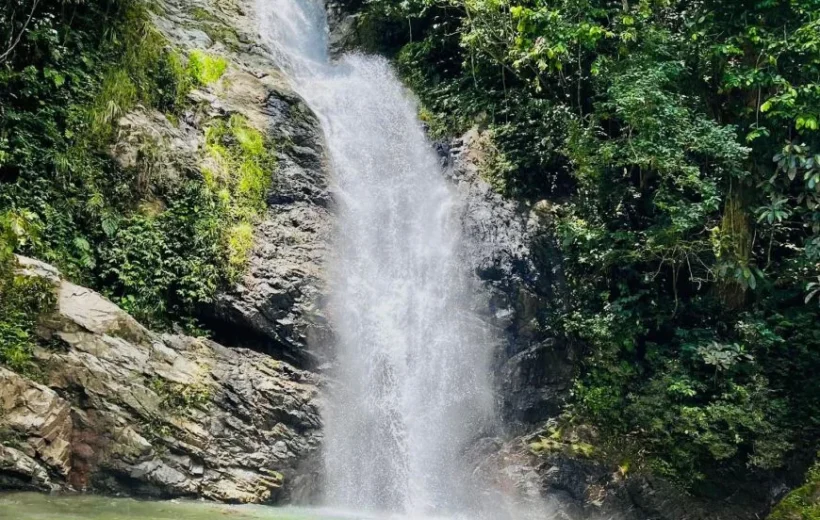 Coral Coast Fiji Waterfall and Rainforest Horse Riding